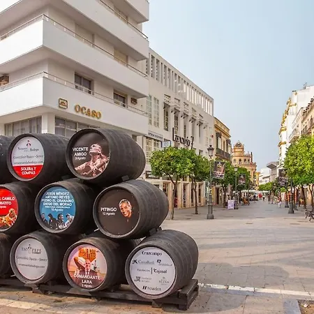 Atico Centrico Con Parking El Arenal Lägenhet Jerez de la Frontera
